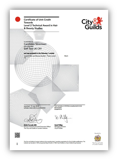 certificate example 2