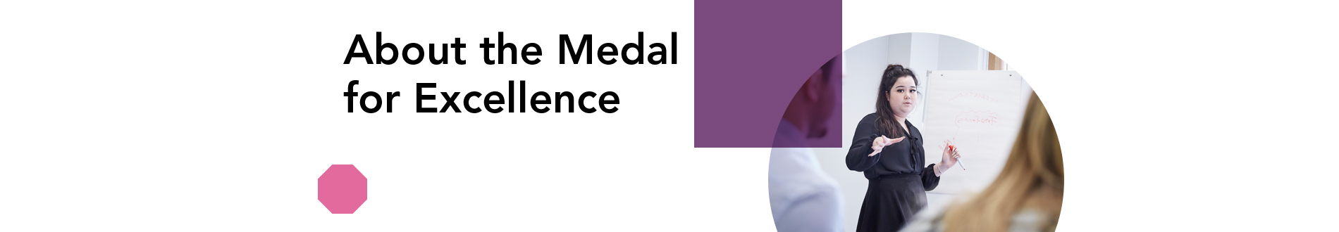 Z_about-the-medal-for-excellence_1900x330 jpg