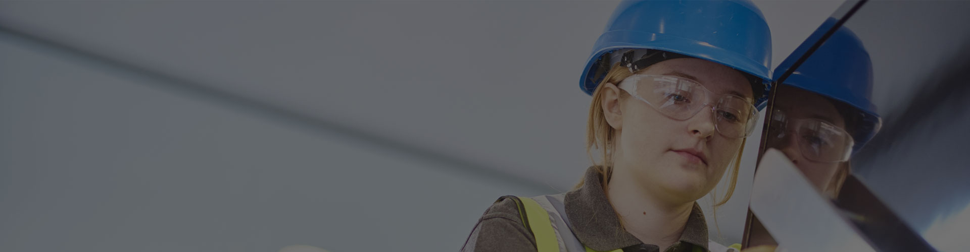 standards web banner