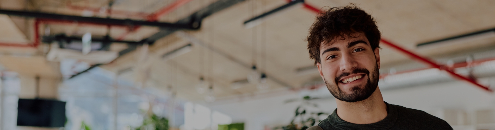 Apprenticeships hub banner