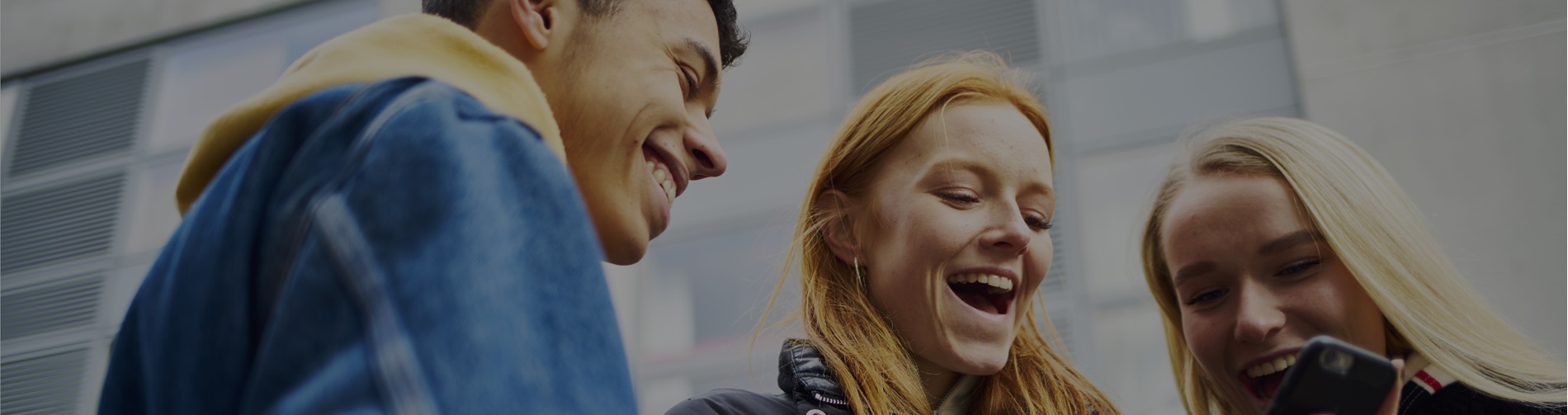 Free functional skills banner