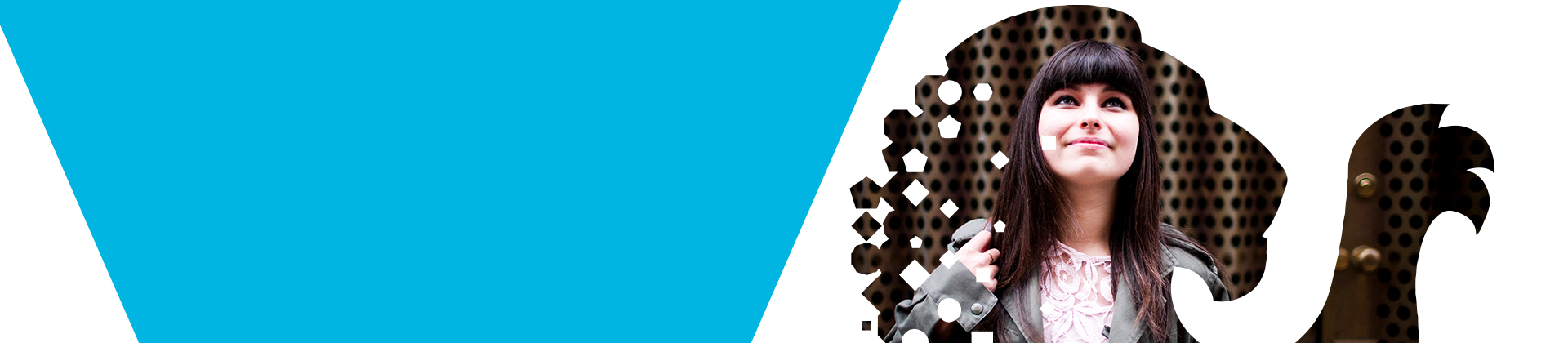 levy document banner