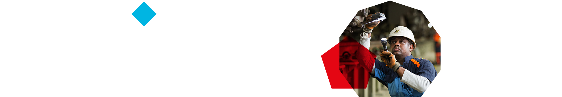 international engineering banner