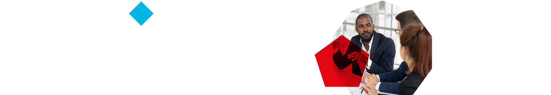 delivery and implementation banner