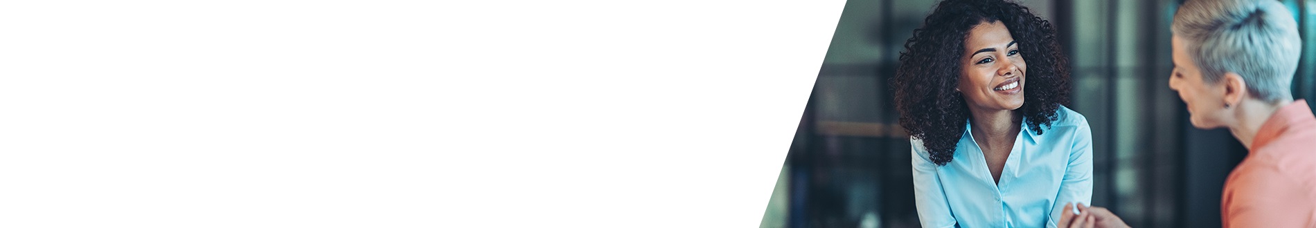 Strategic Skills Review banner