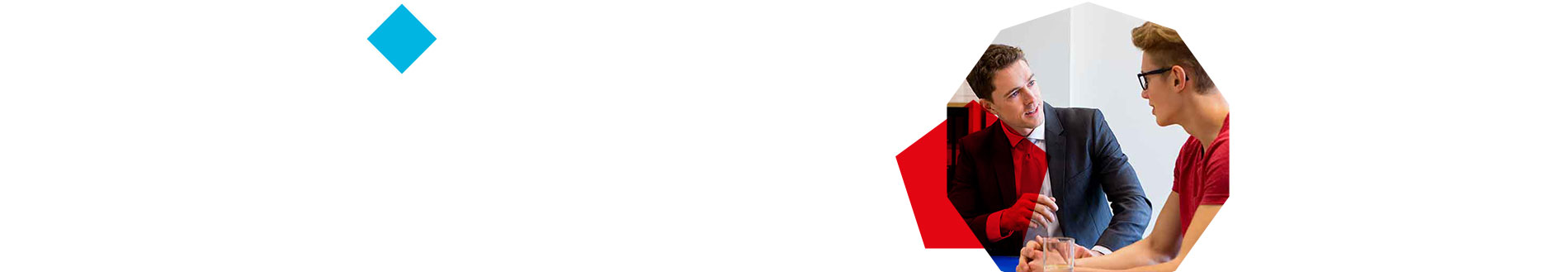 what we offer public sector banner