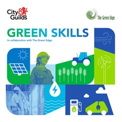 green skills widget image