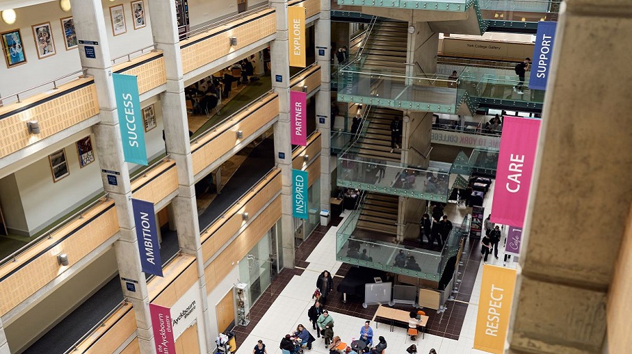 York college case study