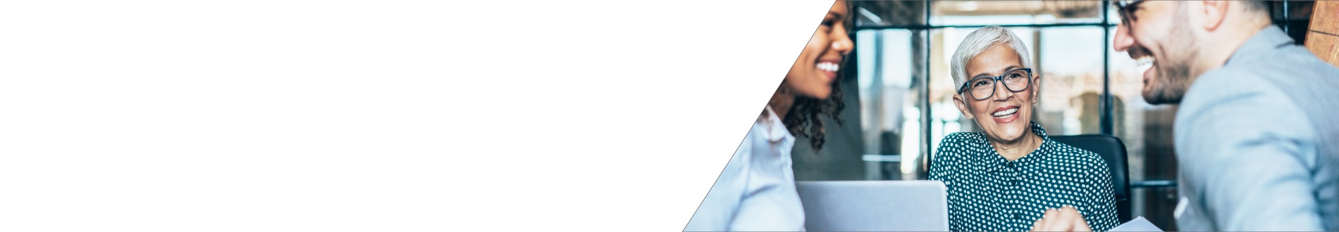 Technical Advisors banner