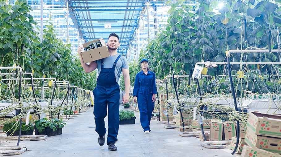 Green skills T Levels