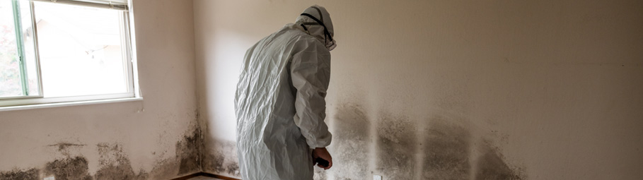 building safer homes through skills image
