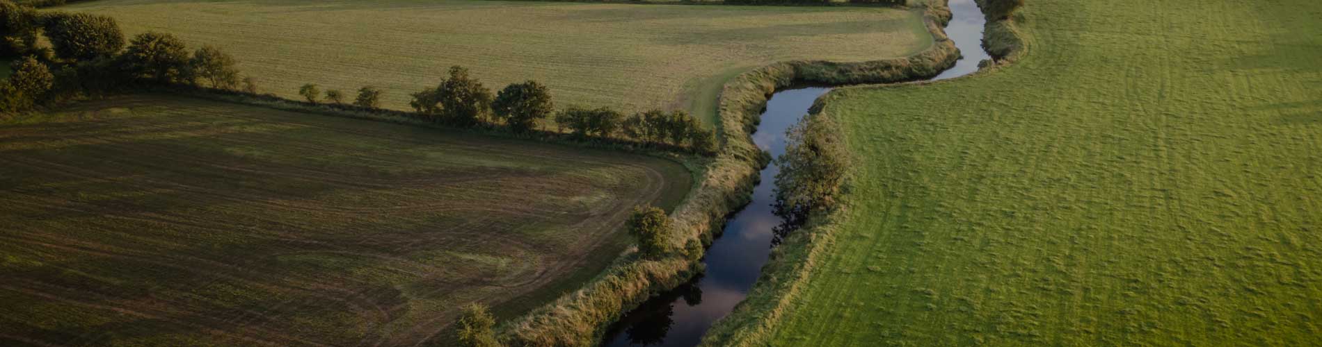 grassland with a river